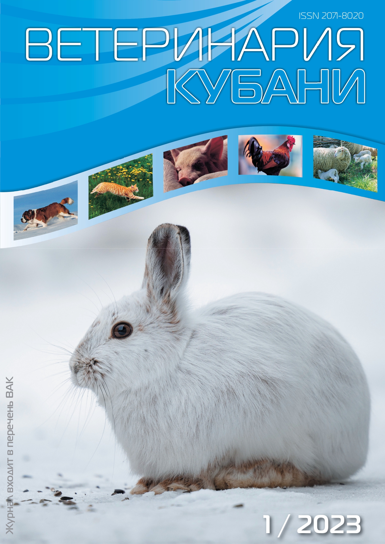ВЕТЕРИНАРИЯ КУБАНИ